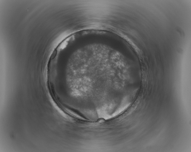 X0000111781479200908201059
