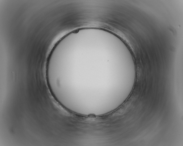 X0000111781480200908201059