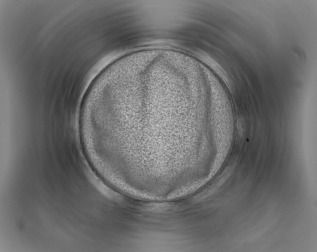 X0000111781482200908201059