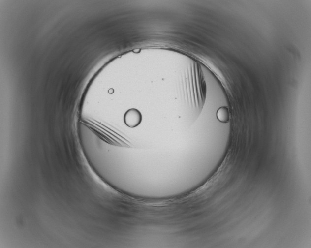 X0000111781484200908201059