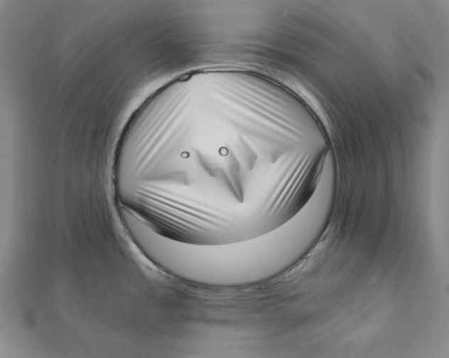 X0000111781485200908201059