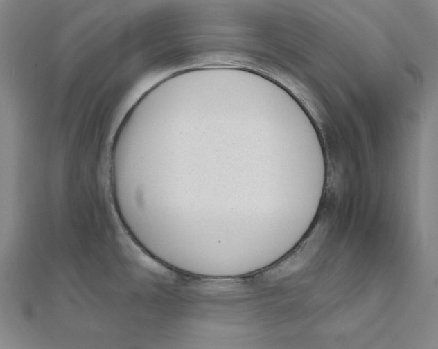 X0000111781486200908201059