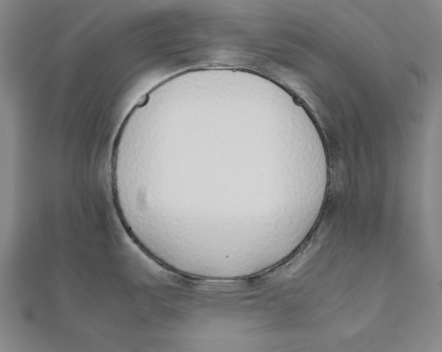 X0000111781487200908201059