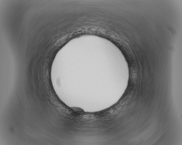 X0000111781489200908201058