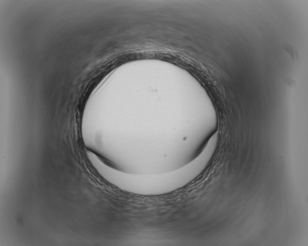 X0000111781493200908201058