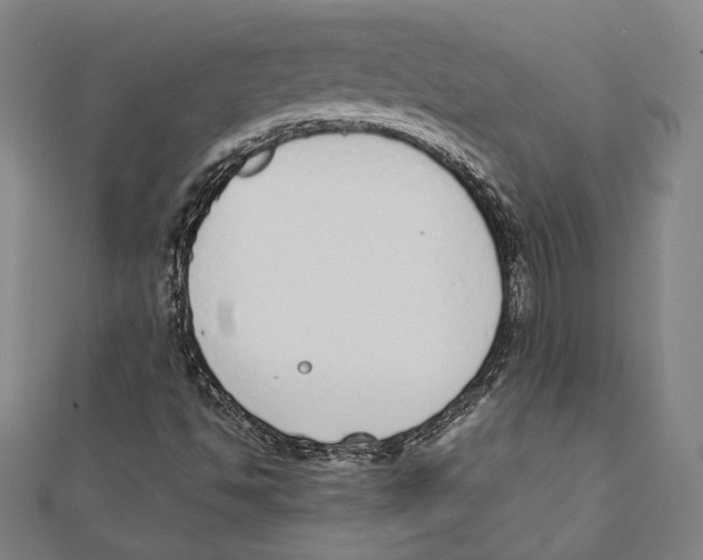 X0000111781494200908201058