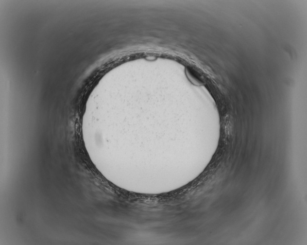 X0000111781495200908201058