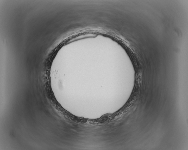 X0000111781496200908201058