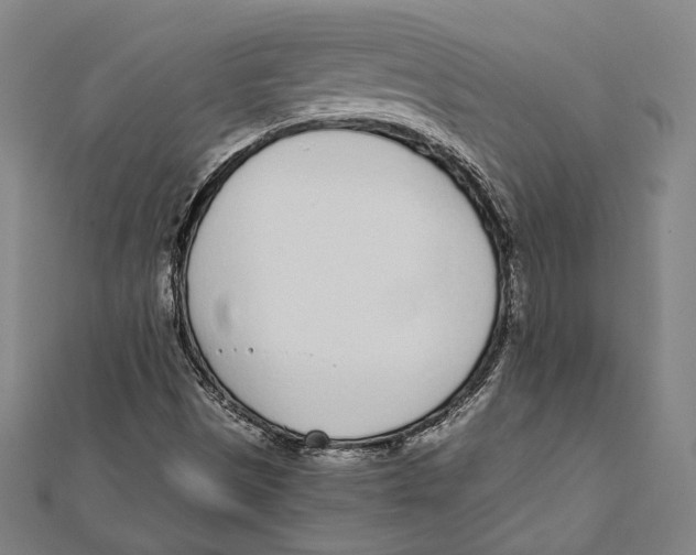 X0000111781497200908201058