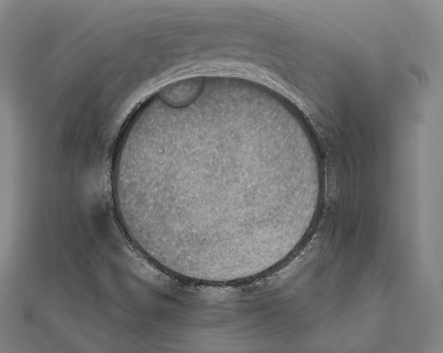X0000111781498200908201058