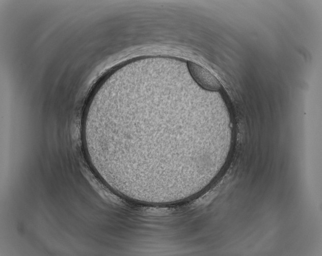 X0000111781499200908201058
