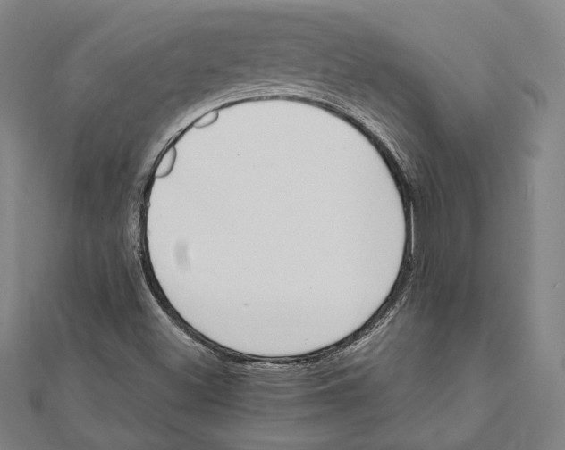 X0000111781500200908201058