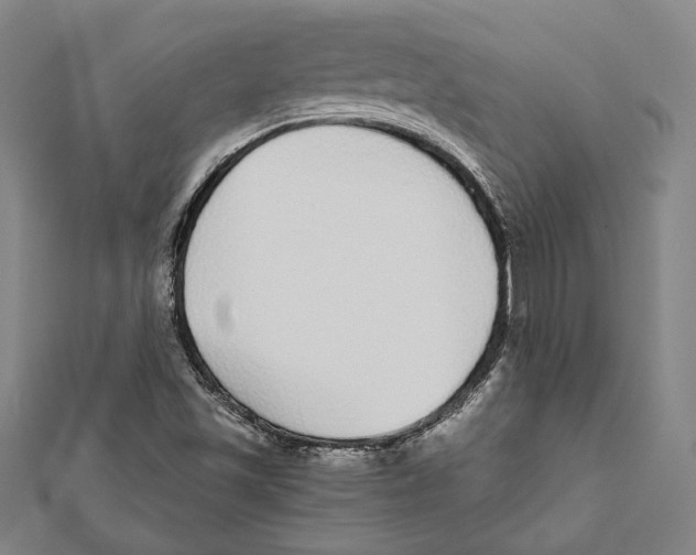 X0000111781501200908201058