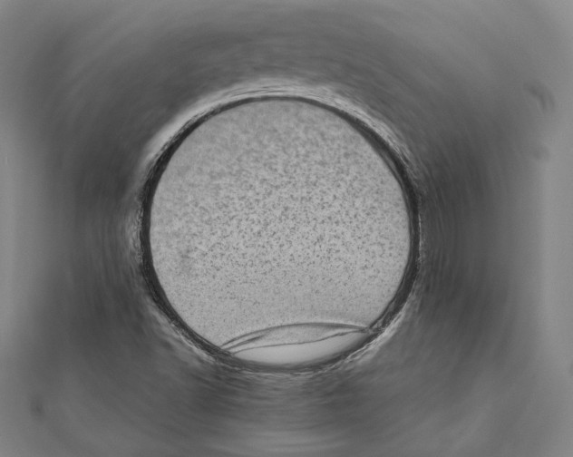 X0000111781502200908201058