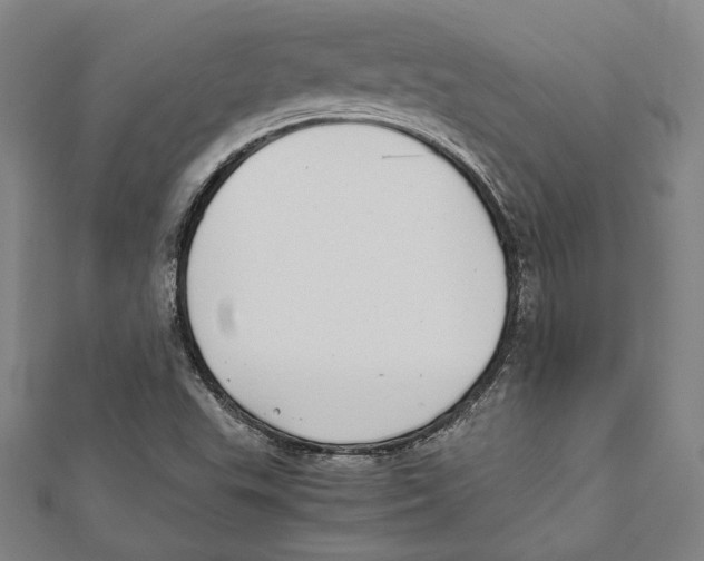 X0000111781503200908201058