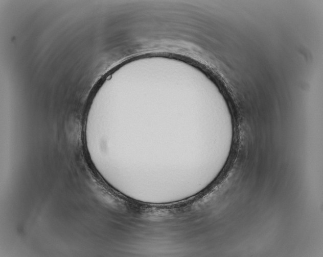X0000111781505200908201058