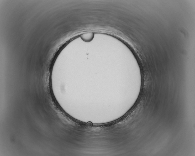 X0000111781507200908201058