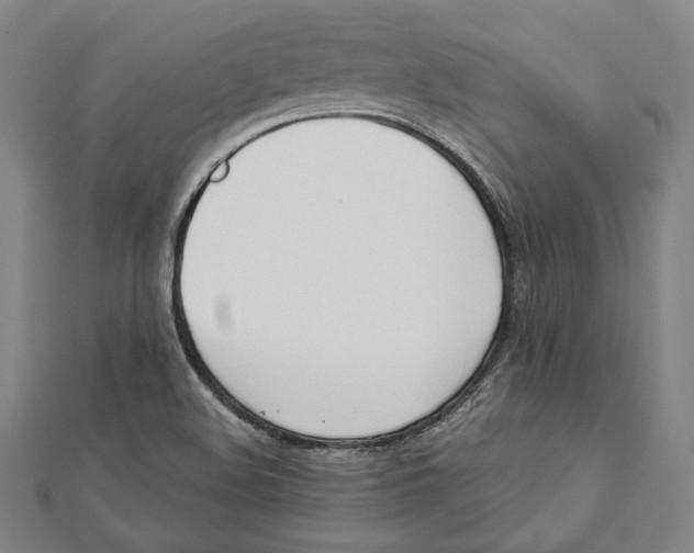X0000111781508200908201058