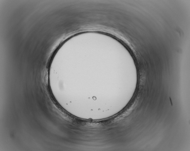 X0000111781509200908201058