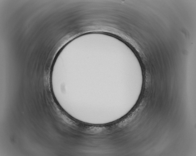 X0000111781513200908201059