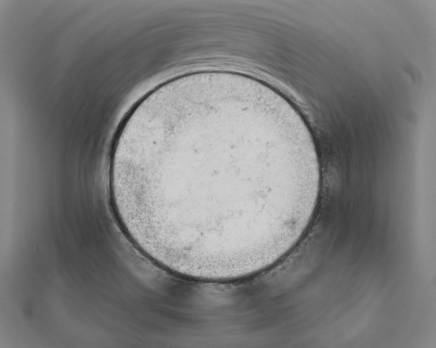 X0000111781514200908201059