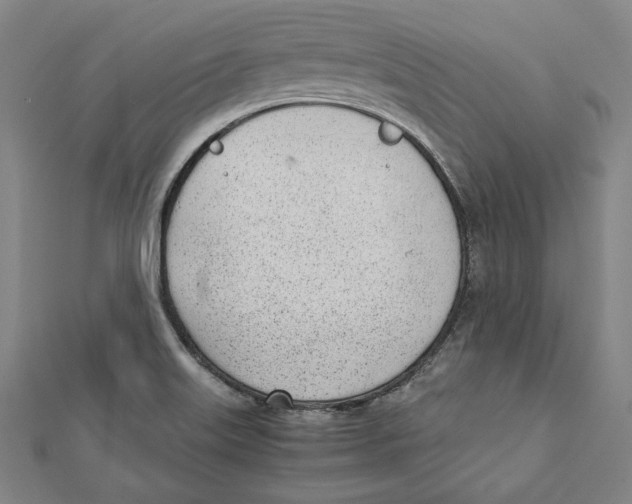 X0000111781515200908201059