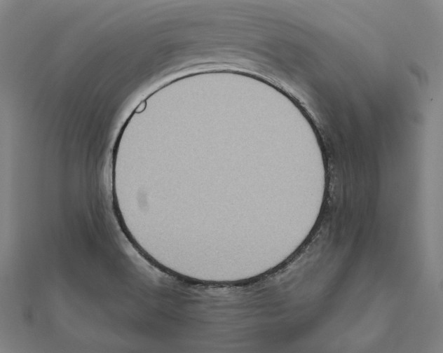 X0000111781516200908201059