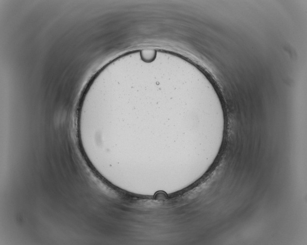X0000111781517200908201059