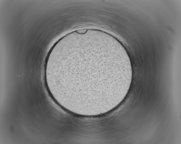 X0000111781518200908201059