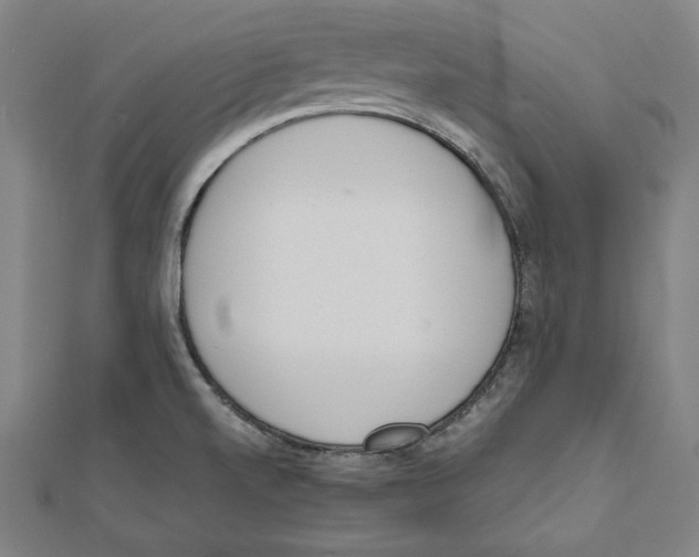 X0000111781520200908201059
