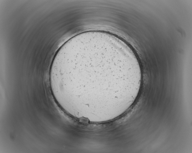 X0000111781521200908201059