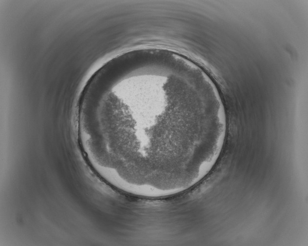 X0000111781522200908201059