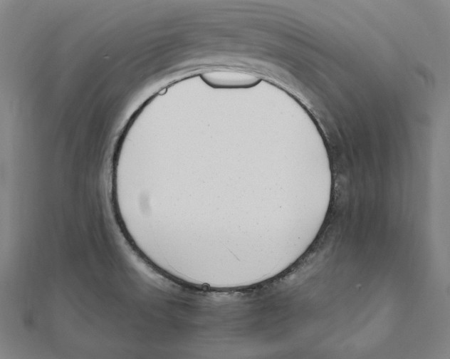 X0000111781523200908201059