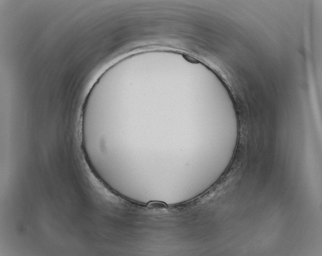 X0000111781524200908201059