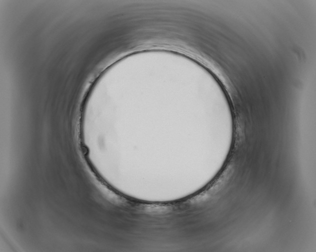 X0000111781525200908201059