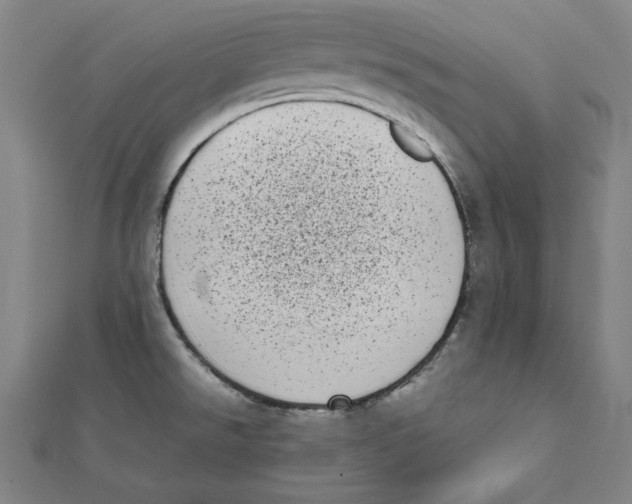 X0000111781526200908201059