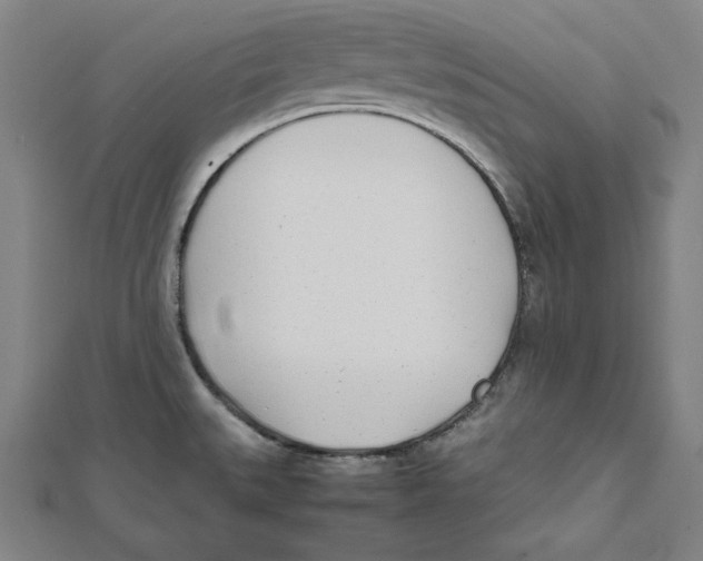 X0000111781527200908201059