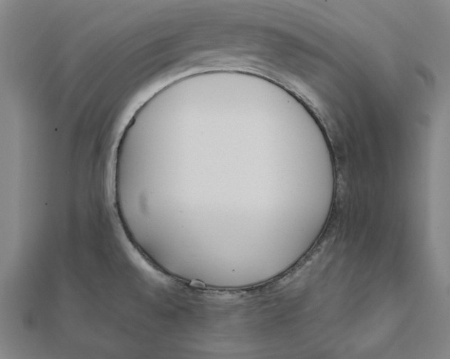 X0000111781528200908201059