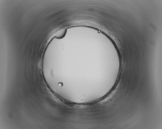 X0000111781529200908201059