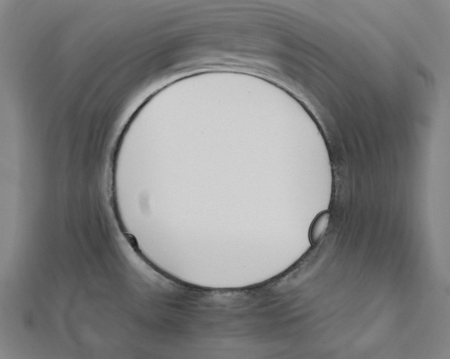 X0000111781531200908201059