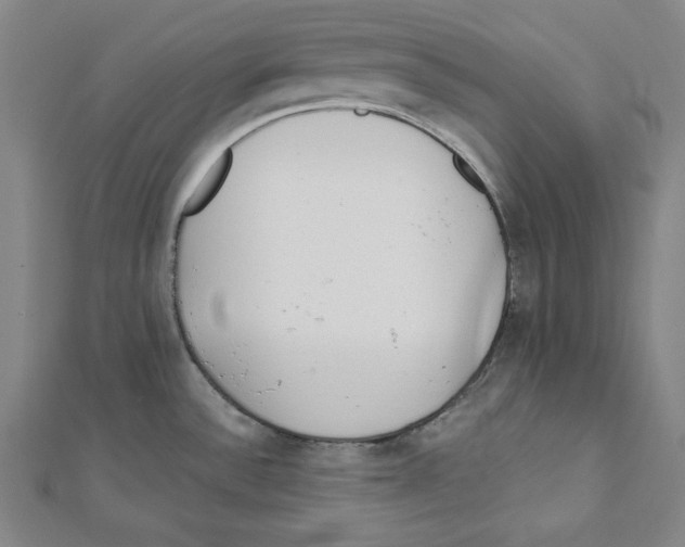 X0000111781532200908201059