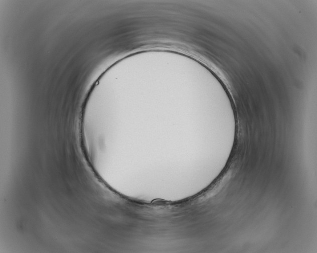 X0000111781533200908201059