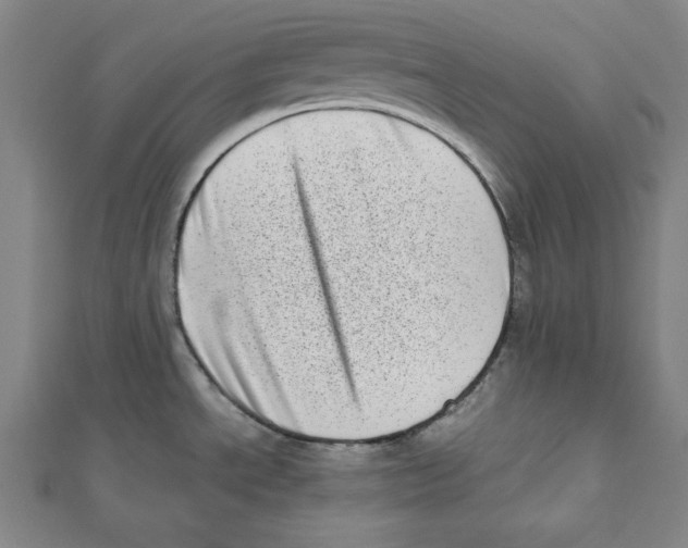 X0000111781534200908201059