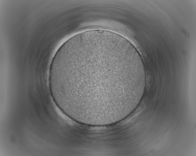 X0000111781535200908201059