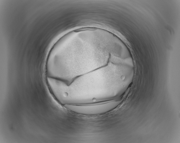 X0000111781536200908201059