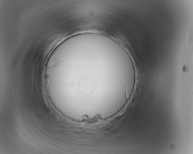 X0000111780001200909031144