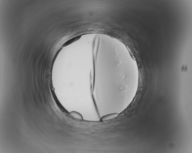 X0000111780003200909031144