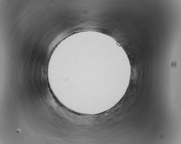 X0000111780004200909031144