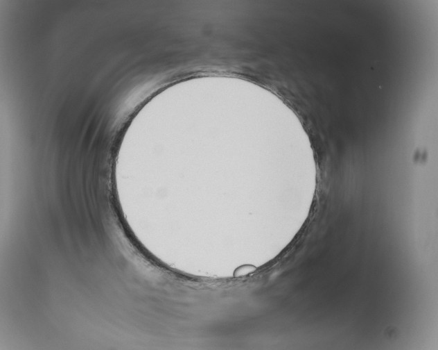 X0000111780005200909031144
