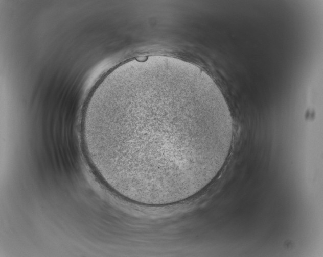 X0000111780006200909031144